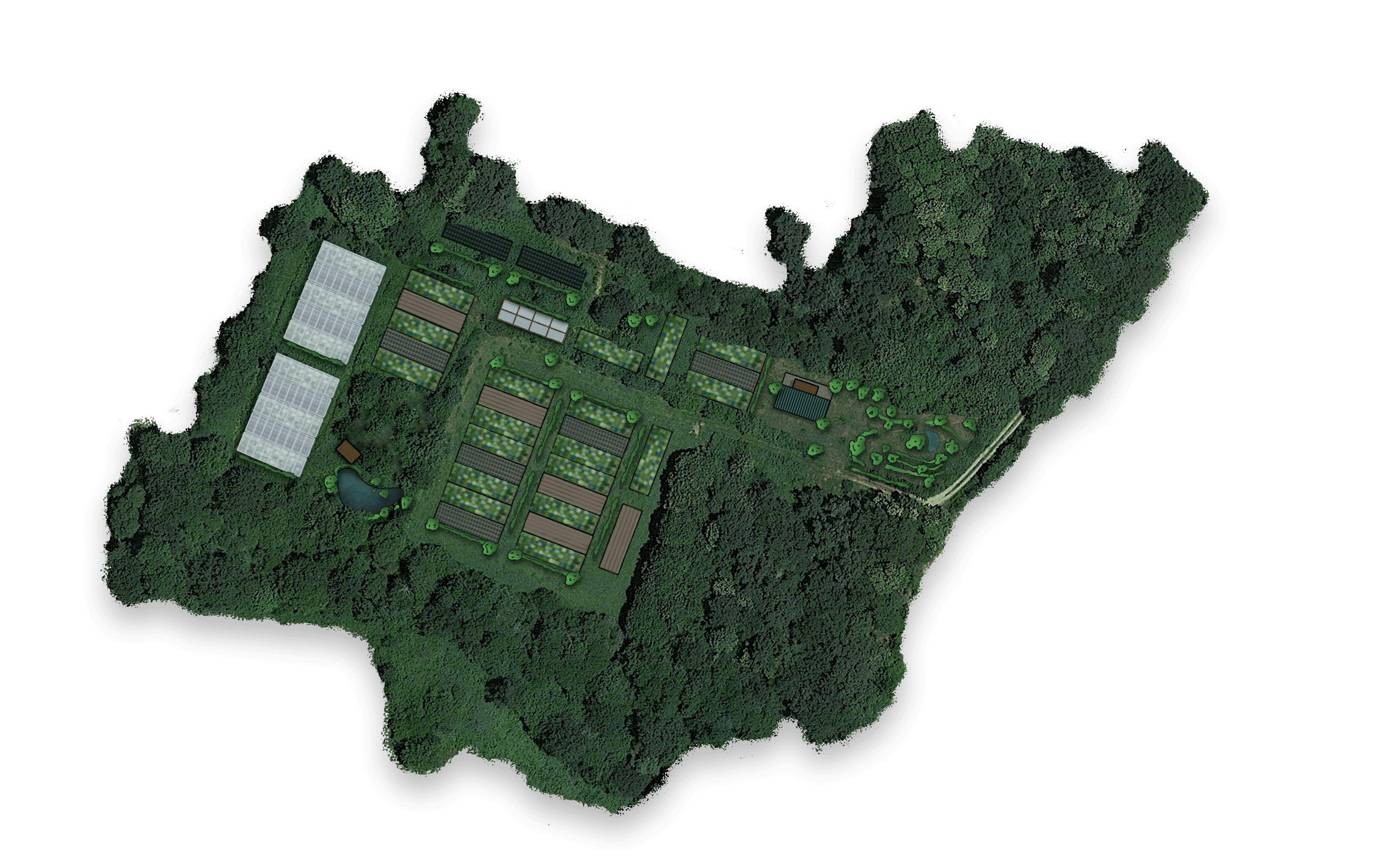 illustration-ferme-magodiere2023 (1)