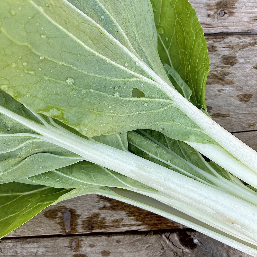 Chou Taï Saï – Image 2