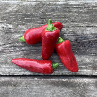 Piment type Espelette