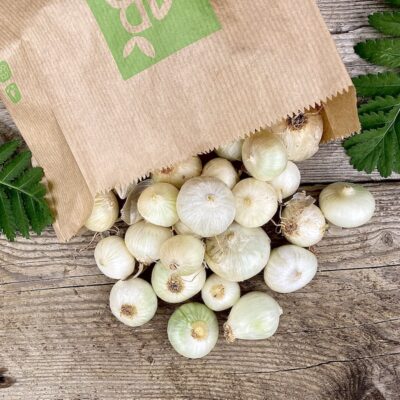Oignon blanc