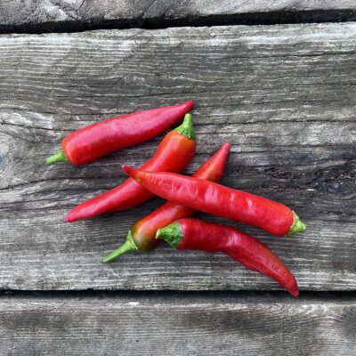 Piment "Sucette de provence"