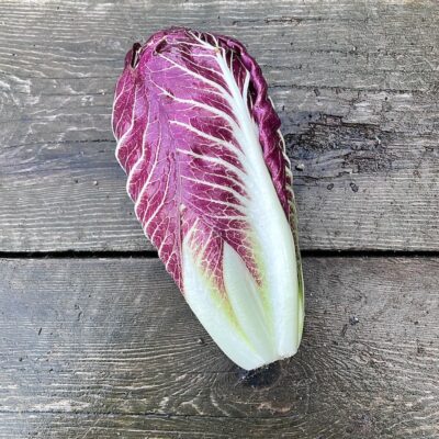 Radicchio